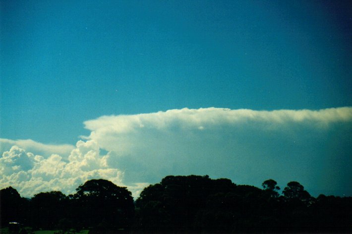 thunderstorm cumulonimbus_incus : McLeans Ridges, NSW   7 May 2001