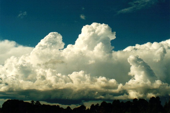 cumulus congestus : McLeans Ridges, NSW   3 July 2001