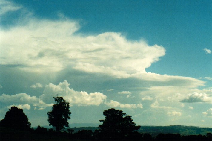 thunderstorm cumulonimbus_incus : McLeans Ridges, NSW   6 July 2001