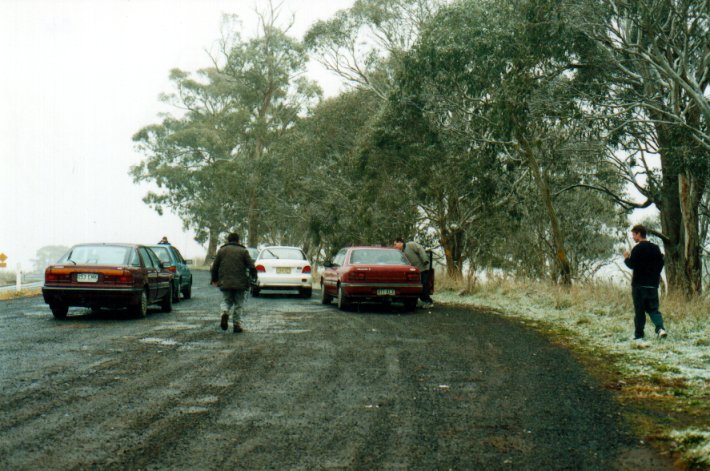 snow snow_pictures : Ben Lomond, NSW   8 July 2001