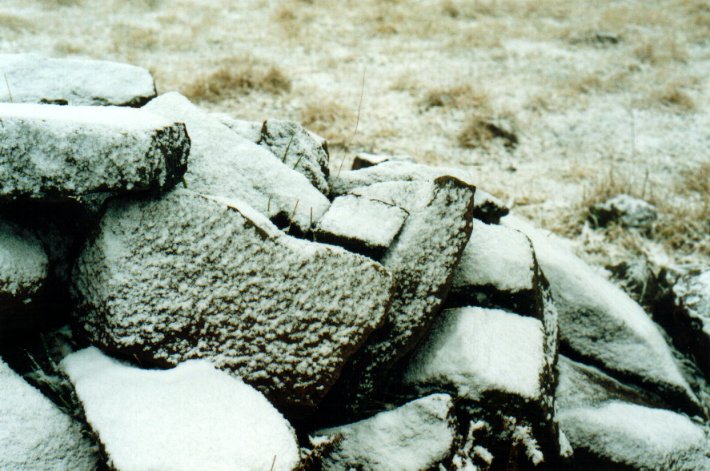 favourites michael_bath : Ben Lomond, NSW   8 July 2001