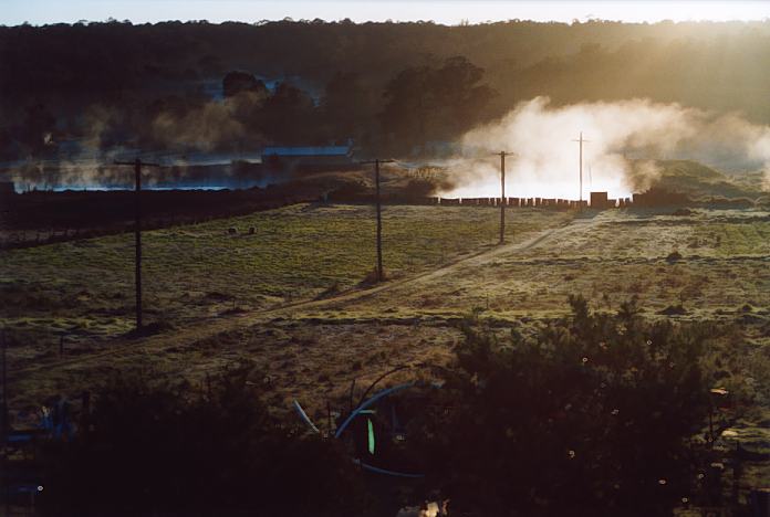 fogmist fog_mist_frost : Schofields, NSW   7 August 2001