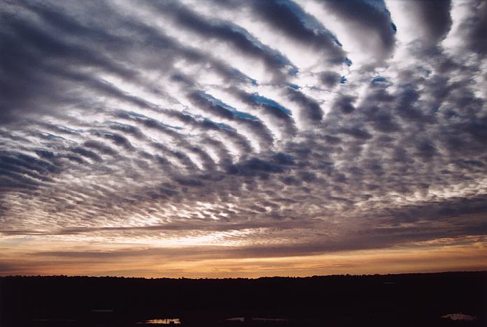 altocumulus mackerel_sky : Schofields, NSW   16 August 2001