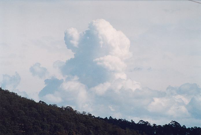 cumulus congestus : Stroud, NSW   26 August 2001