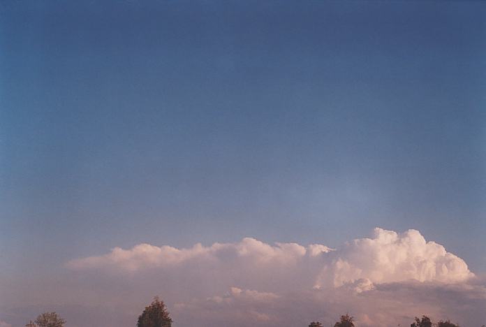 contributions received : near Jerrys Plains, NSW<BR>Photo by Geoff Thurtell   1 September 2001