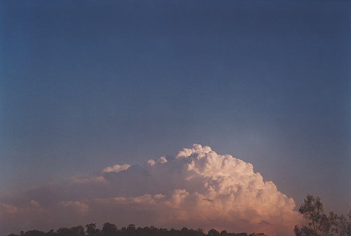 contributions received : near Jerrys Plains, NSW<BR>Photo by Geoff Thurtell   1 September 2001