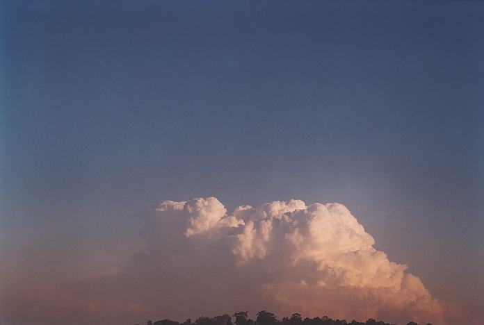 contributions received : near Jerrys Plains, NSW<BR>Photo by Geoff Thurtell   1 September 2001