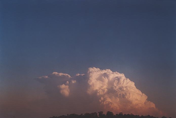 contributions received : near Jerrys Plains, NSW<BR>Photo by Geoff Thurtell   1 September 2001