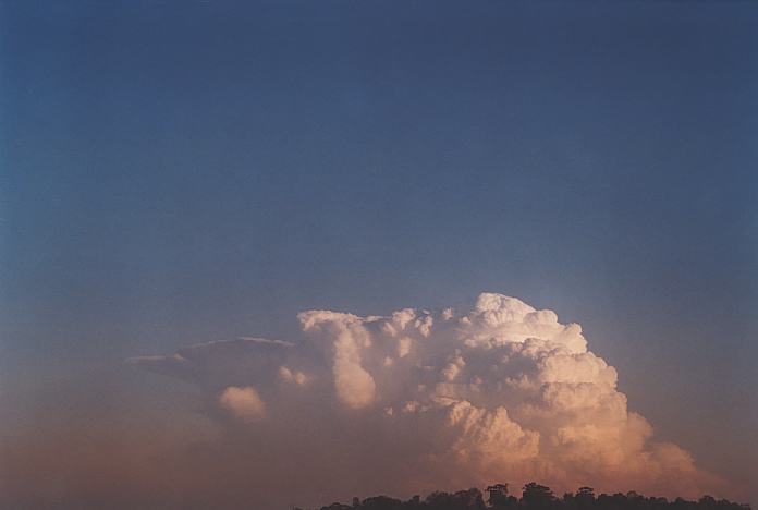 contributions received : near Jerrys Plains, NSW<BR>Photo by Geoff Thurtell   1 September 2001