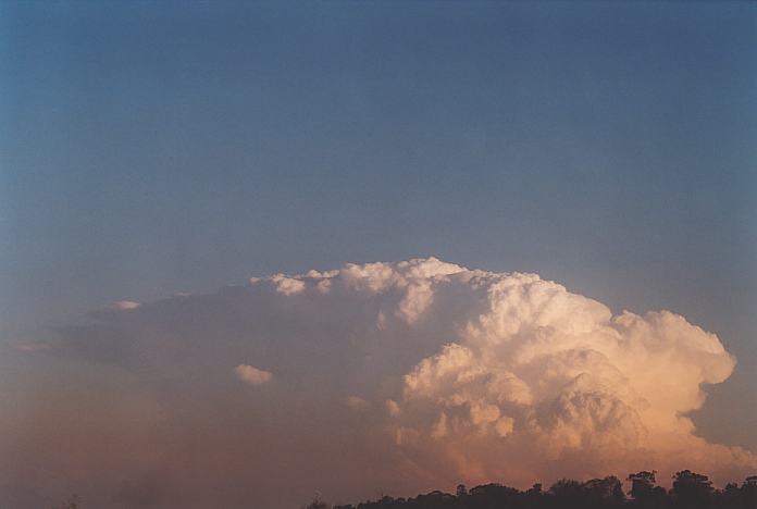 contributions received : near Jerrys Plains, NSW<BR>Photo by Geoff Thurtell   1 September 2001