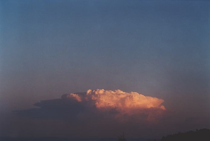 contributions received : near Jerrys Plains, NSW<BR>Photo by Geoff Thurtell   1 September 2001