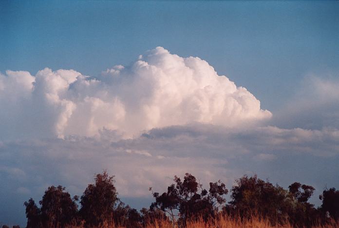 thunderstorm cumulonimbus_incus : Jerrys Plains, NSW   1 September 2001