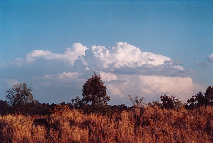 cumulonimbus supercell_thunderstorm : Jerrys Plains, NSW   1 September 2001