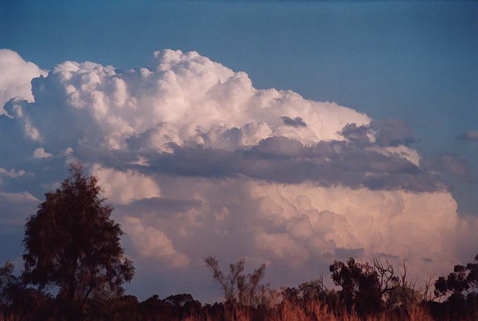 thunderstorm cumulonimbus_incus : Jerrys Plains, NSW   1 September 2001