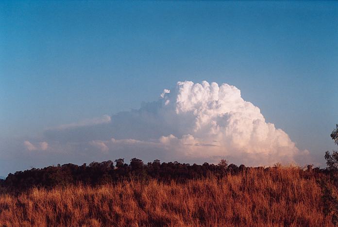 updraft thunderstorm_updrafts : Jerrys Plains, NSW   1 September 2001