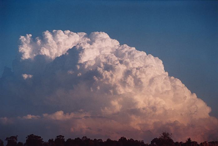 cumulonimbus supercell_thunderstorm : Jerrys Plains, NSW   1 September 2001