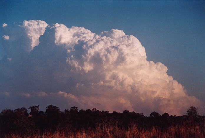 thunderstorm cumulonimbus_incus : Jerrys Plains, NSW   1 September 2001