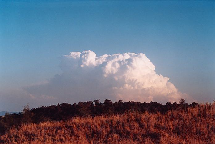 thunderstorm cumulonimbus_incus : Jerrys Plains, NSW   1 September 2001