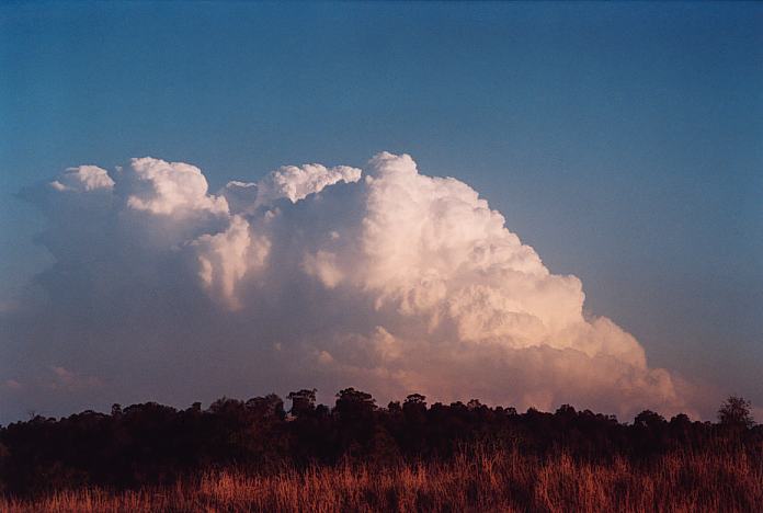 cumulonimbus supercell_thunderstorm : Jerrys Plains, NSW   1 September 2001