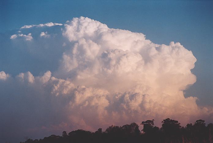 thunderstorm cumulonimbus_incus : Jerrys Plains, NSW   1 September 2001