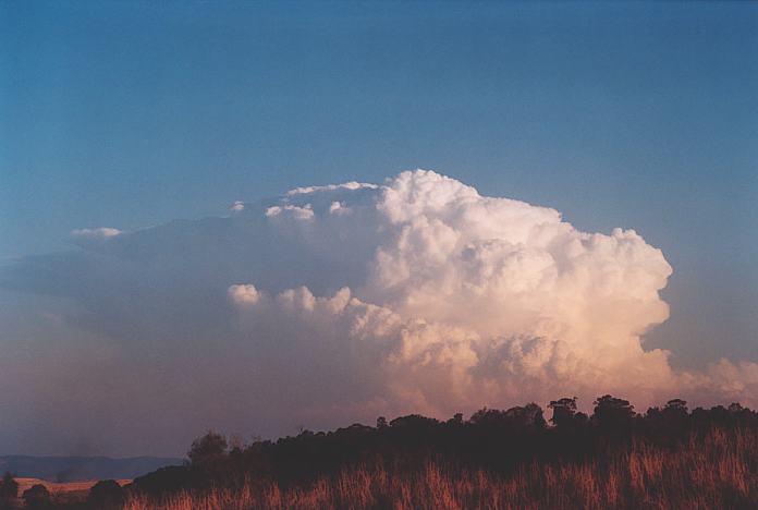 thunderstorm cumulonimbus_incus : Jerrys Plains, NSW   1 September 2001