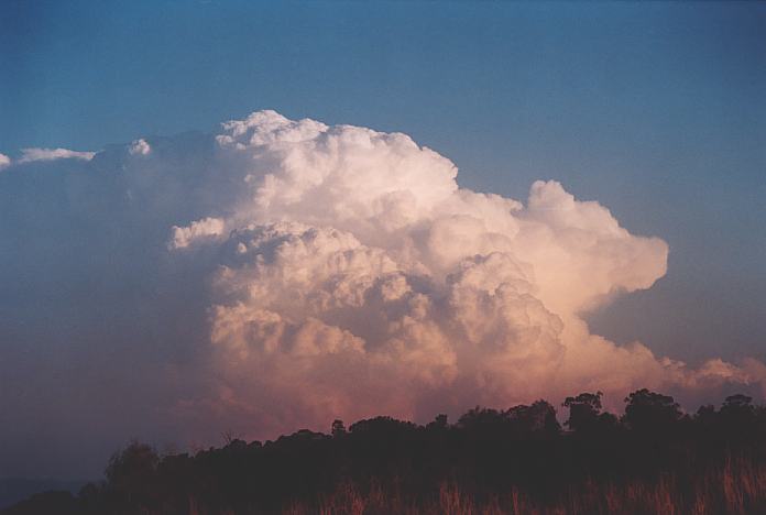 thunderstorm cumulonimbus_incus : Jerrys Plains, NSW   1 September 2001