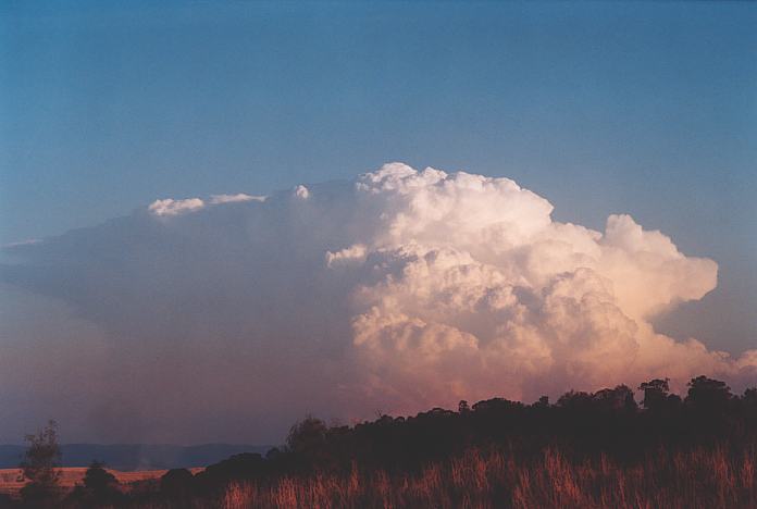 thunderstorm cumulonimbus_incus : Jerrys Plains, NSW   1 September 2001