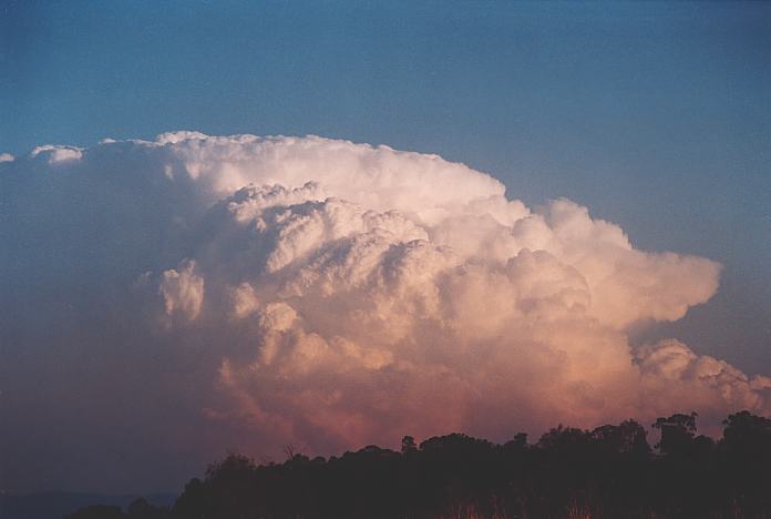 thunderstorm cumulonimbus_incus : Jerrys Plains, NSW   1 September 2001