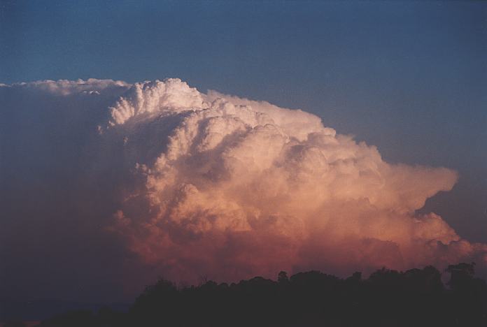 thunderstorm cumulonimbus_incus : Jerrys Plains, NSW   1 September 2001