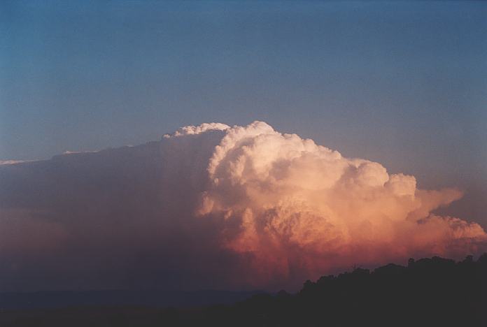 updraft thunderstorm_updrafts : Jerrys Plains, NSW   1 September 2001