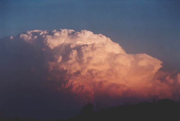 cumulonimbus supercell_thunderstorm : Jerrys Plains, NSW   1 September 2001