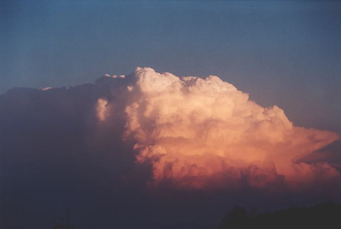 cumulonimbus supercell_thunderstorm : Jerrys Plains, NSW   1 September 2001