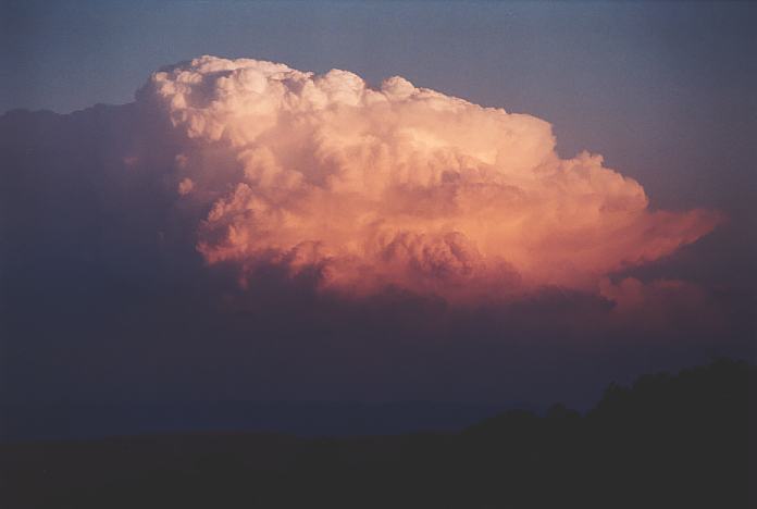 cumulonimbus supercell_thunderstorm : Jerrys Plains, NSW   1 September 2001