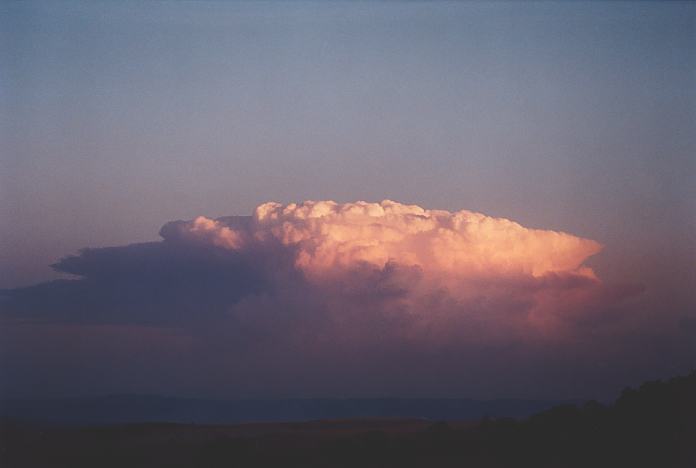 sunset sunset_pictures : Jerrys Plains, NSW   1 September 2001