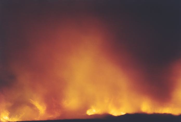 contributions received : Parklea, NSW<BR>Photo by Geoff Thurtell   8 September 2001