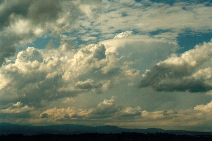 cumulus mediocris : McLeans Ridges, NSW   14 September 2001