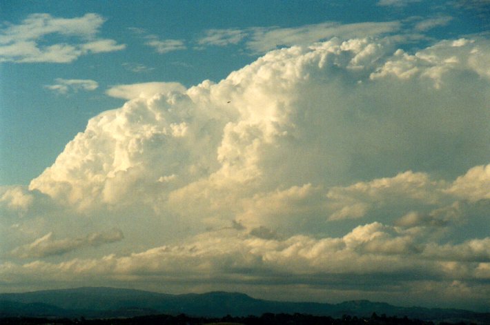 updraft thunderstorm_updrafts : McLeans Ridges, NSW   14 September 2001