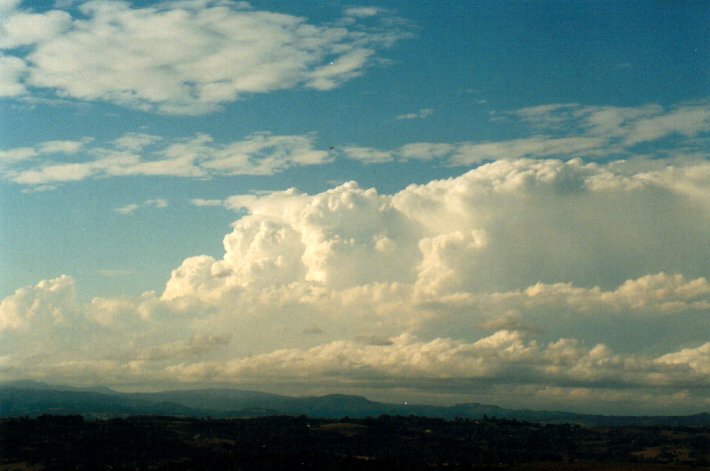 thunderstorm cumulonimbus_calvus : McLeans Ridges, NSW   14 September 2001