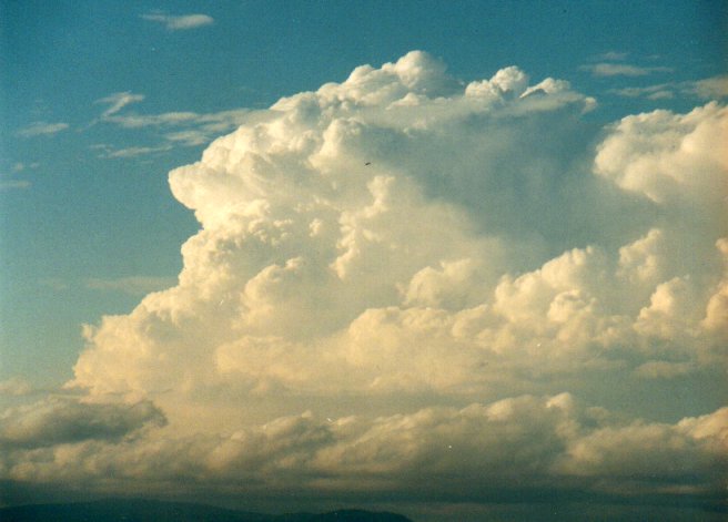 thunderstorm cumulonimbus_incus : McLeans Ridges, NSW   14 September 2001