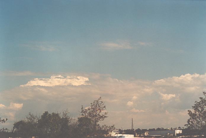 cumulus congestus : Evans High Blacktown, NSW   20 September 2001