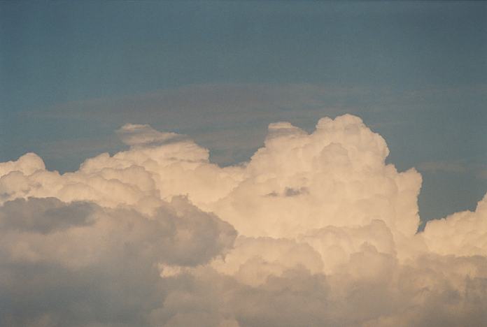 cumulus congestus : Evans High Blacktown, NSW   20 September 2001