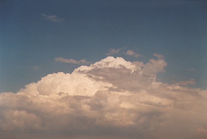 cumulus congestus : Evans High Blacktown, NSW   20 September 2001