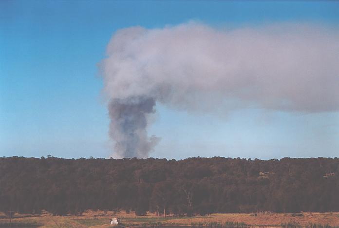 bushfire wild_fire : Schofields, NSW   29 September 2001