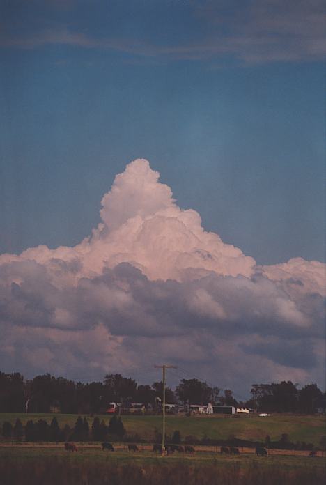 cumulus congestus : Morpeth, NSW   3 October 2001