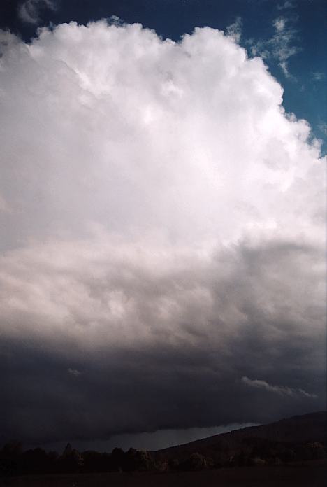 cumulonimbus supercell_thunderstorm : 16km S of Nabiac, NSW   3 October 2001