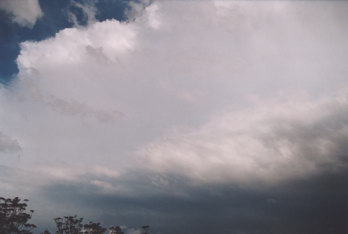 cumulonimbus supercell_thunderstorm : 16km S of Nabiac, NSW   3 October 2001