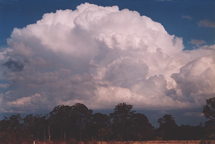 updraft thunderstorm_updrafts : Nabiac, NSW   3 October 2001