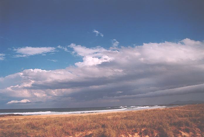 cumulus mediocris : Hallidays Point, NSW   3 October 2001