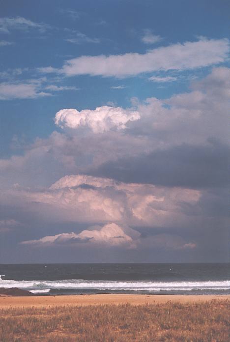 thunderstorm cumulonimbus_calvus : Hallidays Point, NSW   3 October 2001