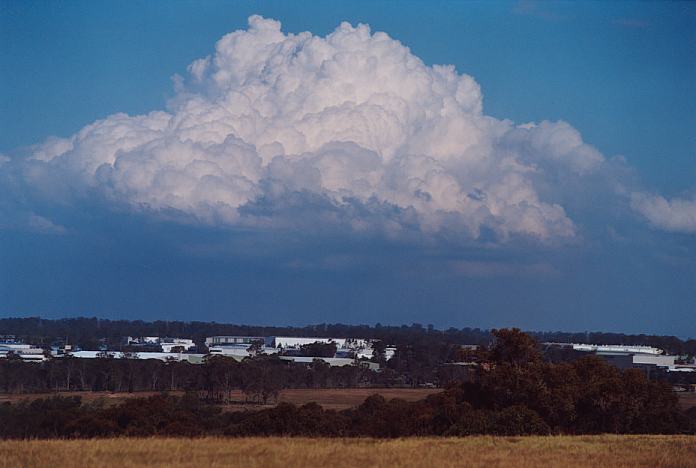 thunderstorm cumulonimbus_calvus : Rooty Hill, NSW   24 October 2001